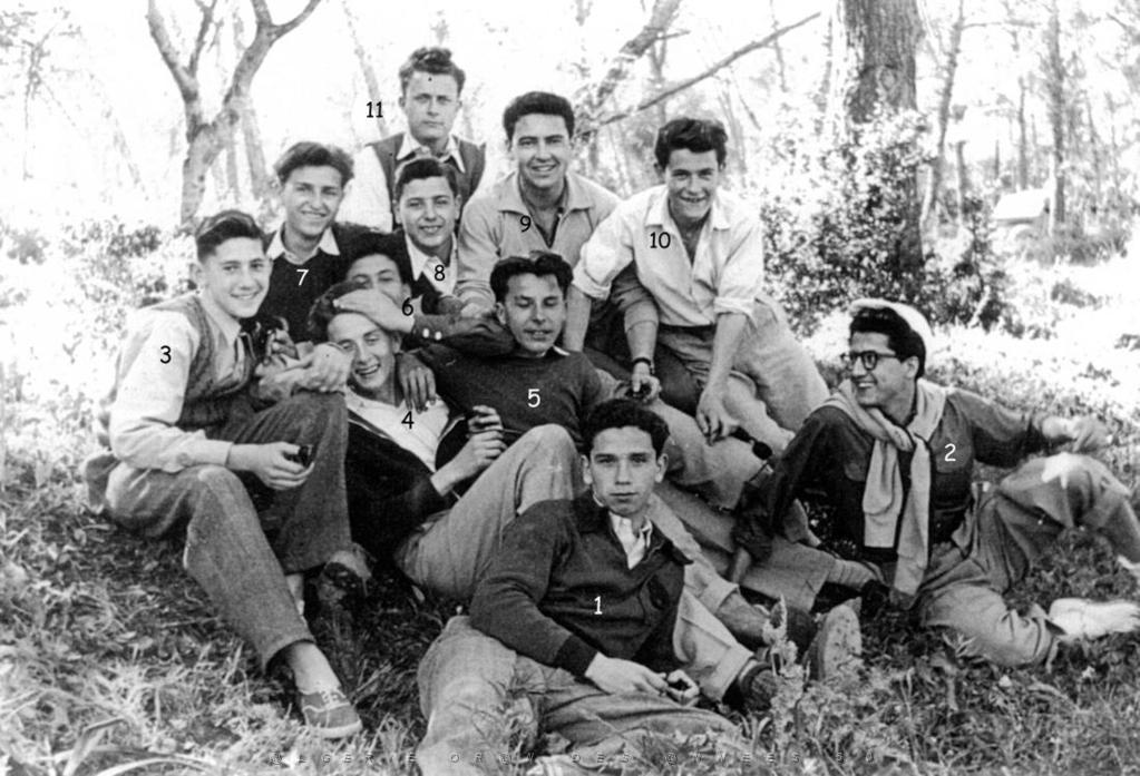 FORET DE MOULAY ISMAEL PRES DE ST DENIS DU SIG 1950.JPG